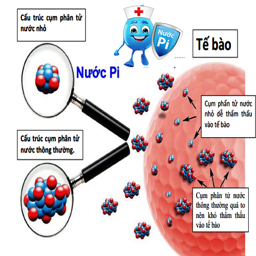thanh lọc thải độc